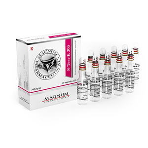 Ενέσιμα Στεροειδή Magnum Test-E 300